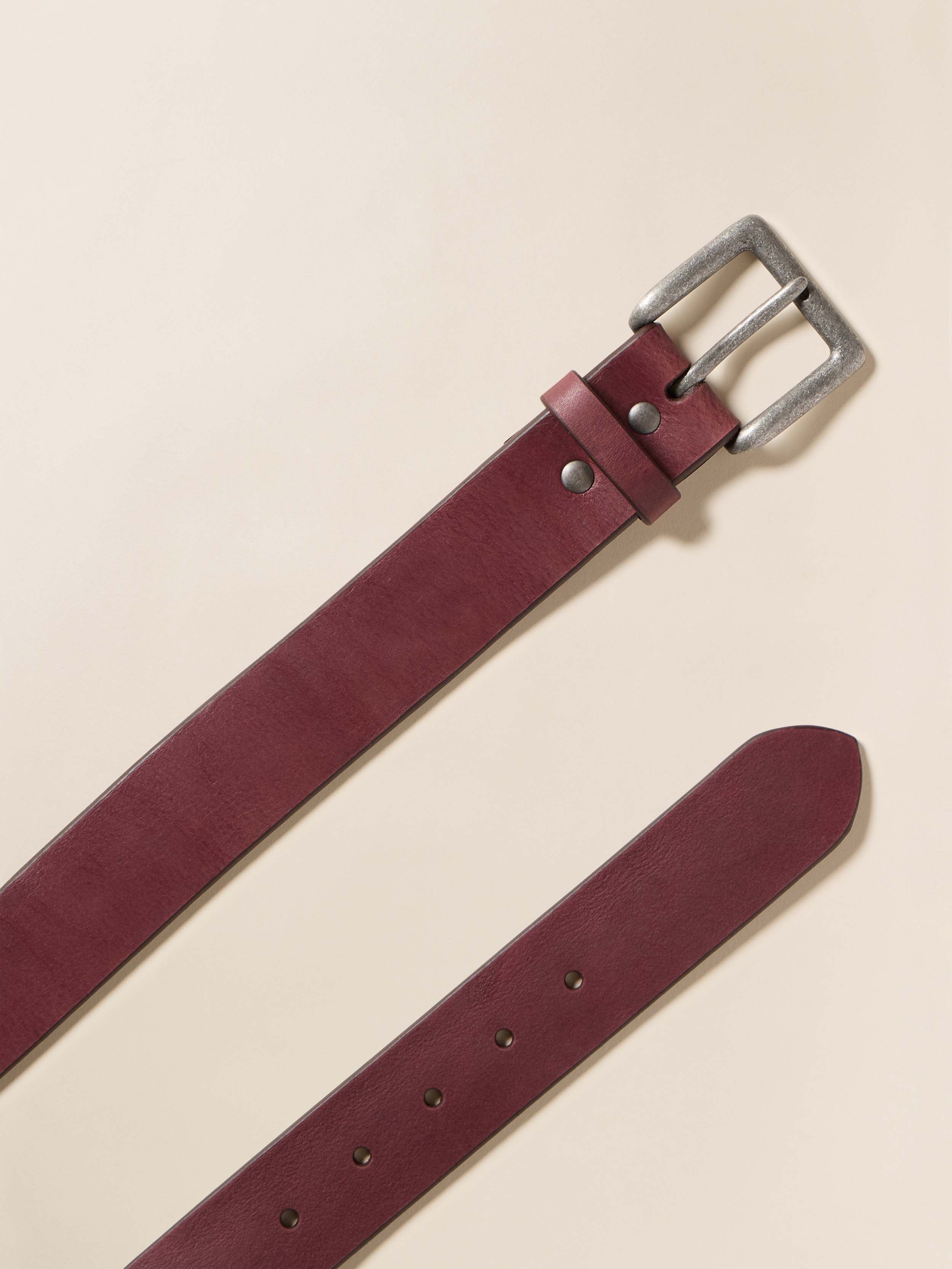 Women's Oversized Belt - Espresso